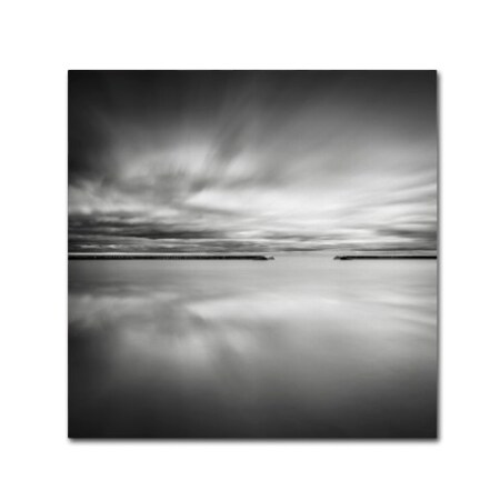 Trademark Fine Art Dave MacVicar 'Double Vision' Canvas Art, 35x35 ALI0828-C3535GG